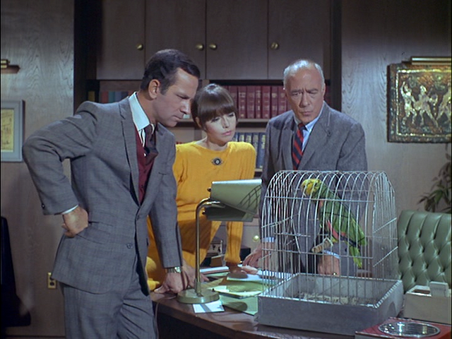 File:PerilsinaPetShop1.png