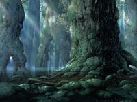 Forest.jpg