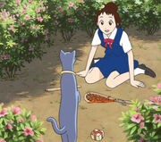 Cat3.jpg