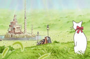Cat14.jpg