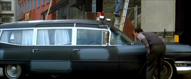 File:Ecto 01.jpg