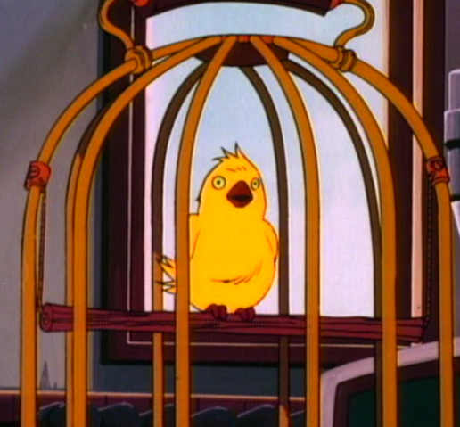 File:WhatsBirdnormal.png