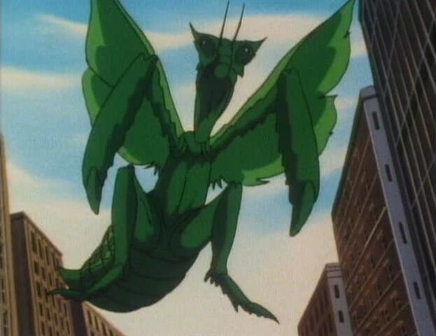 File:Murraythemantis.jpg