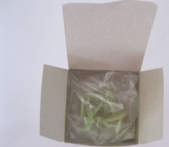 File:GhostbustersTheBoardGameDeluxeEditionSpectralGBBox.jpg