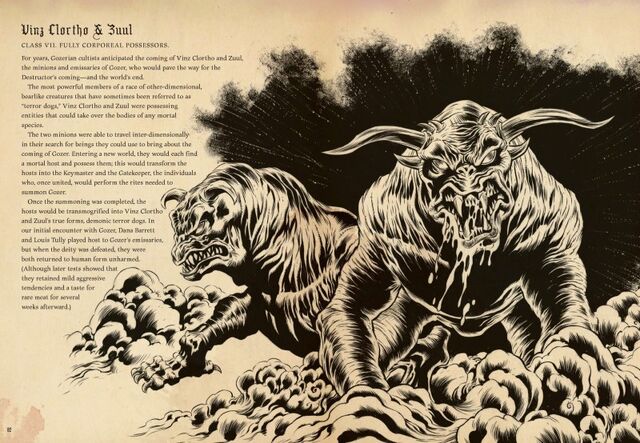 File:TobinsSpiritGuideInsightPage82Preview.jpg