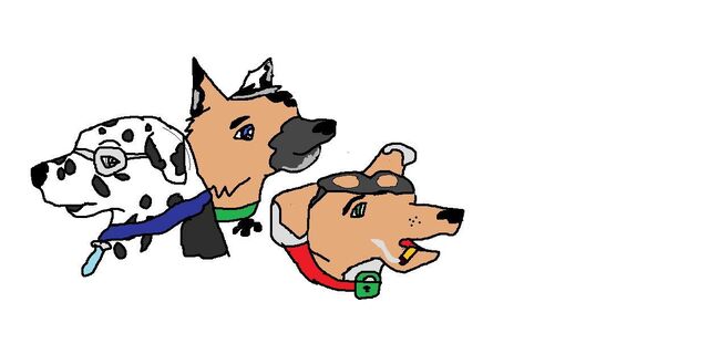 File:Pawbusters crew.jpg
