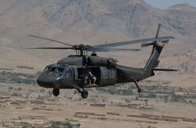 File:Black Hawk.jpg