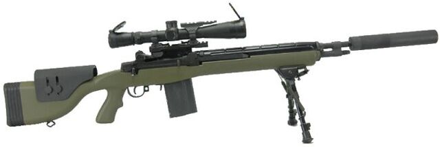 File:M14 dmr.jpg
