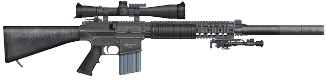 File:SR-25 SD.png