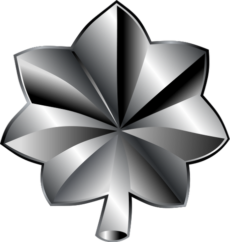 File:Lieutenant Colonel.png