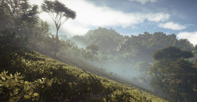 File:Sri Lankan Jungle.jpg