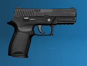 P250