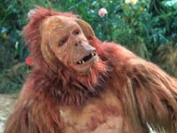 1orangutan