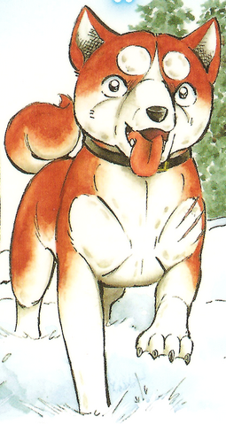 Datei:RikiGDRCover3.png