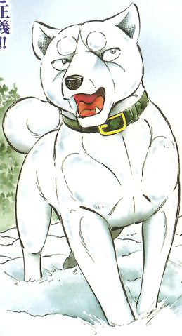 Datei:ShiroGDRCover.png