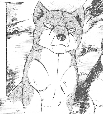 Datei:Kazukiki.png