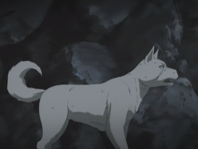 Datei:Akame Anime7.png