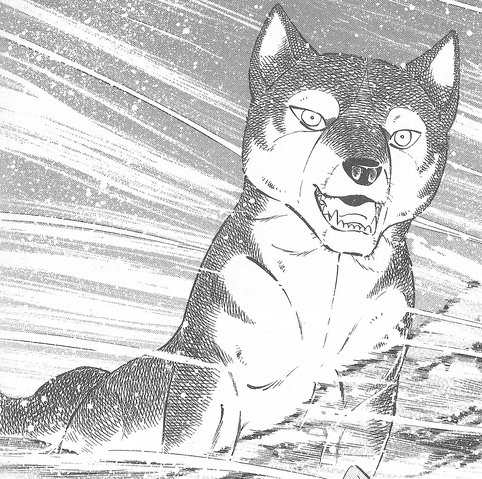 Datei:KisaragiGDWO.png