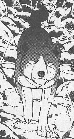 Datei:NorthGDWManga.png
