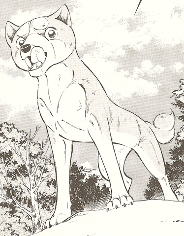 Datei:Orion98989.png