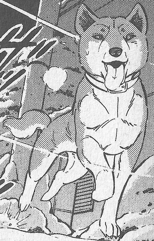 Datei:SasukeGDWManga2.png