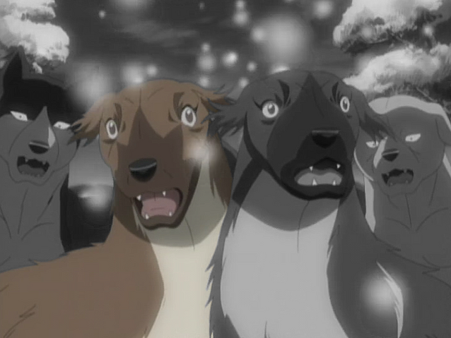 Datei:Jet Anime2.png