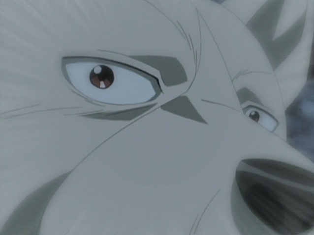Datei:Akame Anime5.png