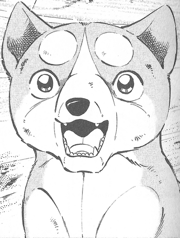 Datei:OrionGDWO777.png