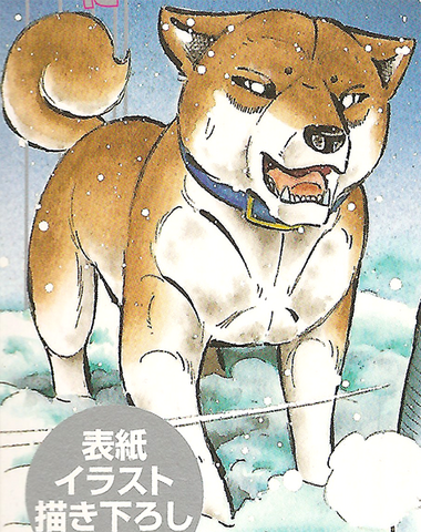 Datei:SasukeMyFirstBigCover.png