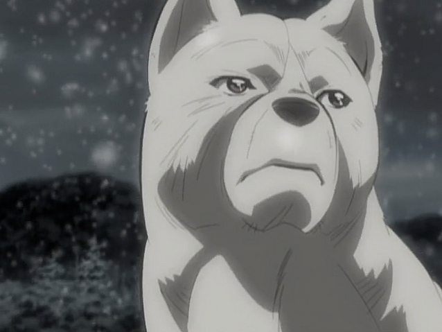 Datei:Akame Anime10.png