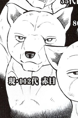 Datei:Shirakami.png