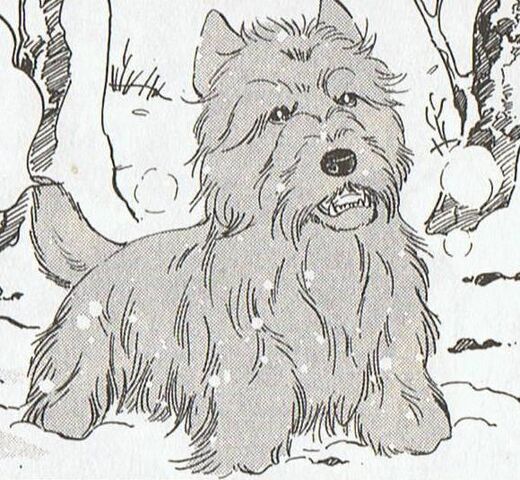 File:Carl.jpg