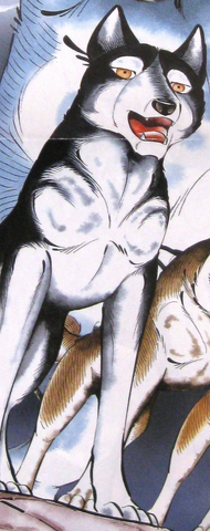 Файл:Kisa.png