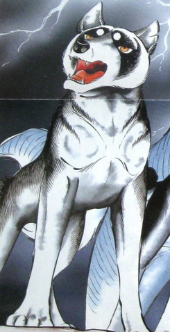 Файл:General.png
