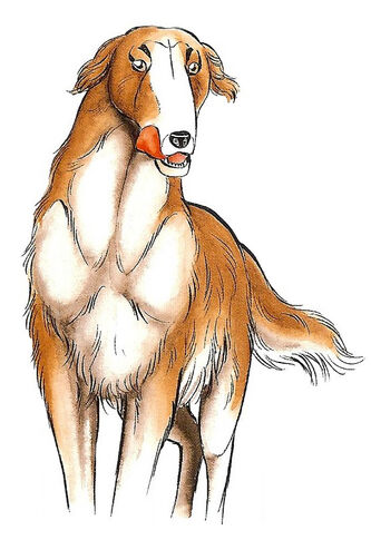 File:Rocket.jpg