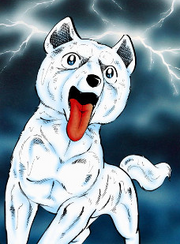 Shionpuppy