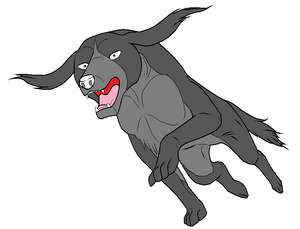 Lintoru