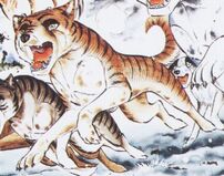 Shingaidenakatora