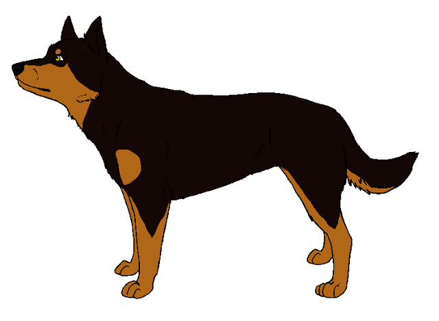 File:C52953fca571e25310d490d01840fa42-d5jvrxa.png