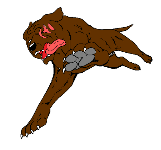 File:Bash.png