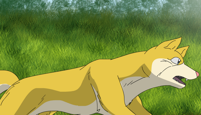 File:Kin-san.png