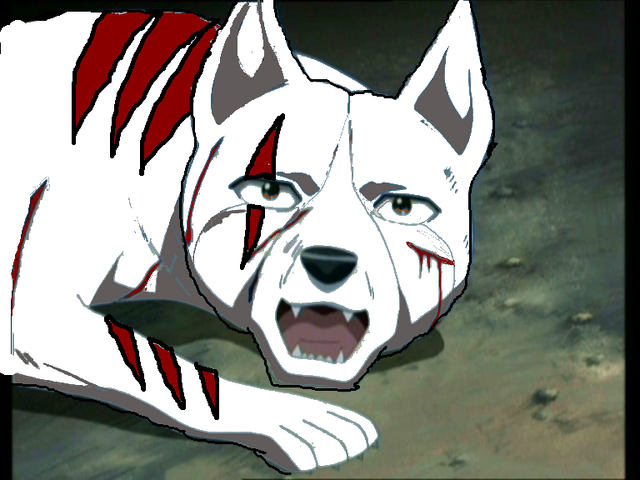 File:Kichi.png