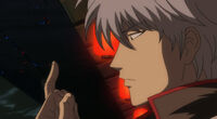 Gintoki i włos Suzuran