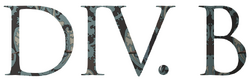 Division B Logo
