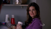 01.shelb1 1-300x169.png