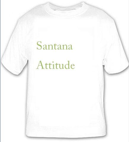 File:Attitude.jpg