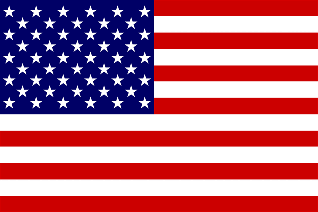 File:Usa-flag.gif