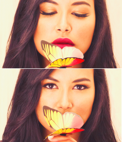 File:Sweet butterflies.png