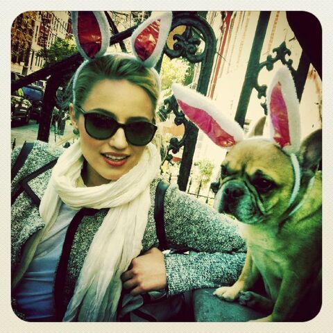 File:Diannawithpuppy.jpg