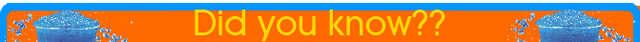 File:DidYouKnowBanner.png
